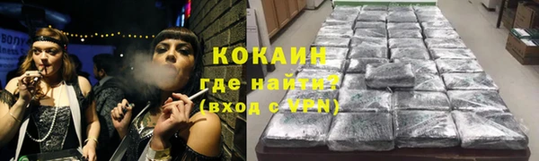 PSILOCYBIN Карталы