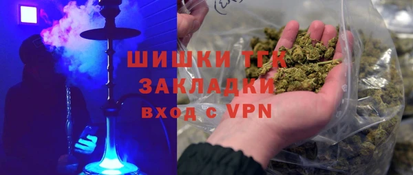 PSILOCYBIN Карталы