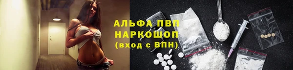 PSILOCYBIN Карталы