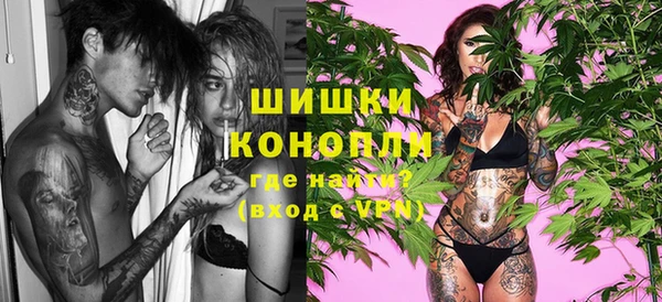 PSILOCYBIN Карталы