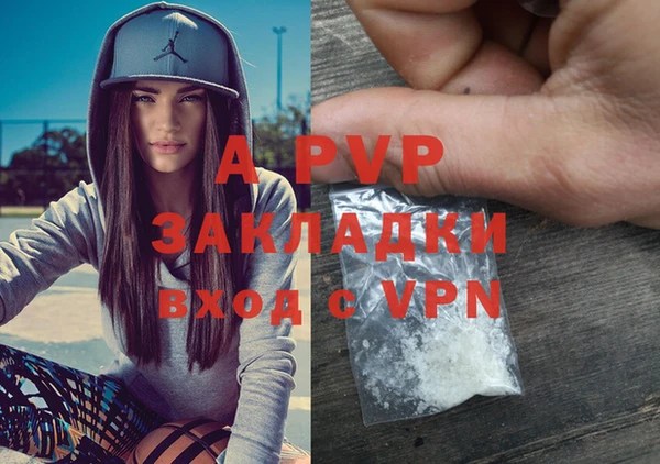 PSILOCYBIN Карталы