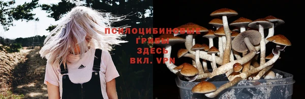 PSILOCYBIN Карталы