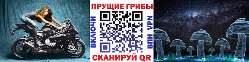 Купить закладки  Никольск  Галлюциногенные грибы Psilocybine cubensis 